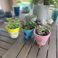 Custom Painted Plant Pots