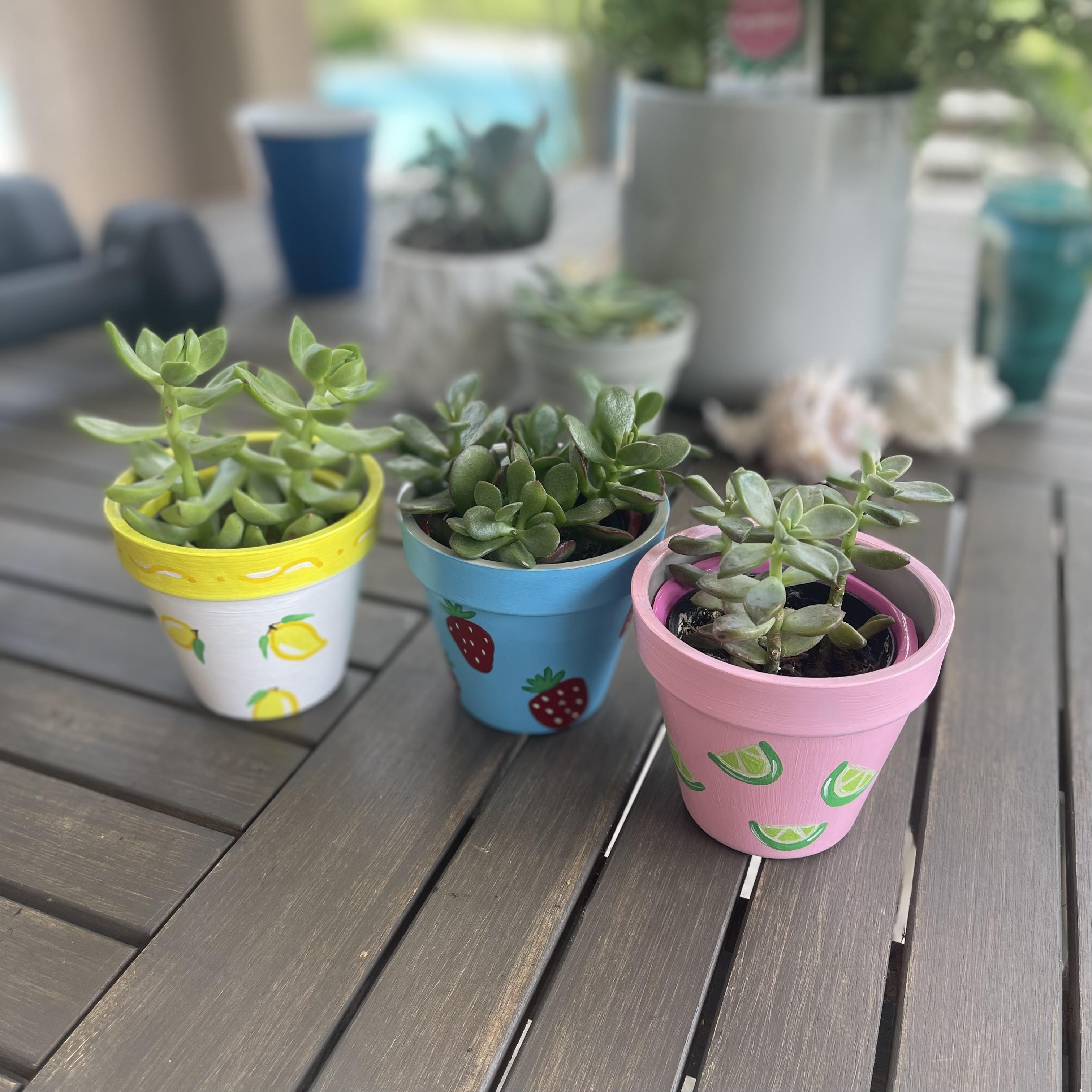 Custom Painted Plant Pots